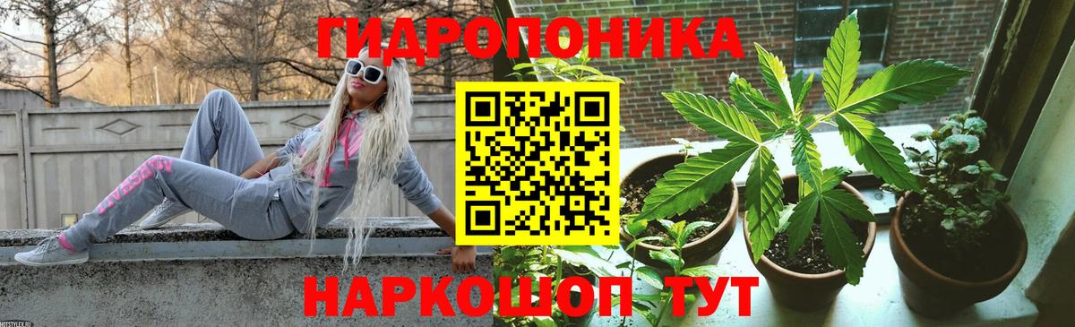 МАРИХУАНА сатива  Вход с VPN  Марихуана конопля  Конопля марихуана  Полысаево 